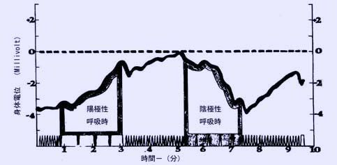 バラ十字呼吸法の身体電位への影響